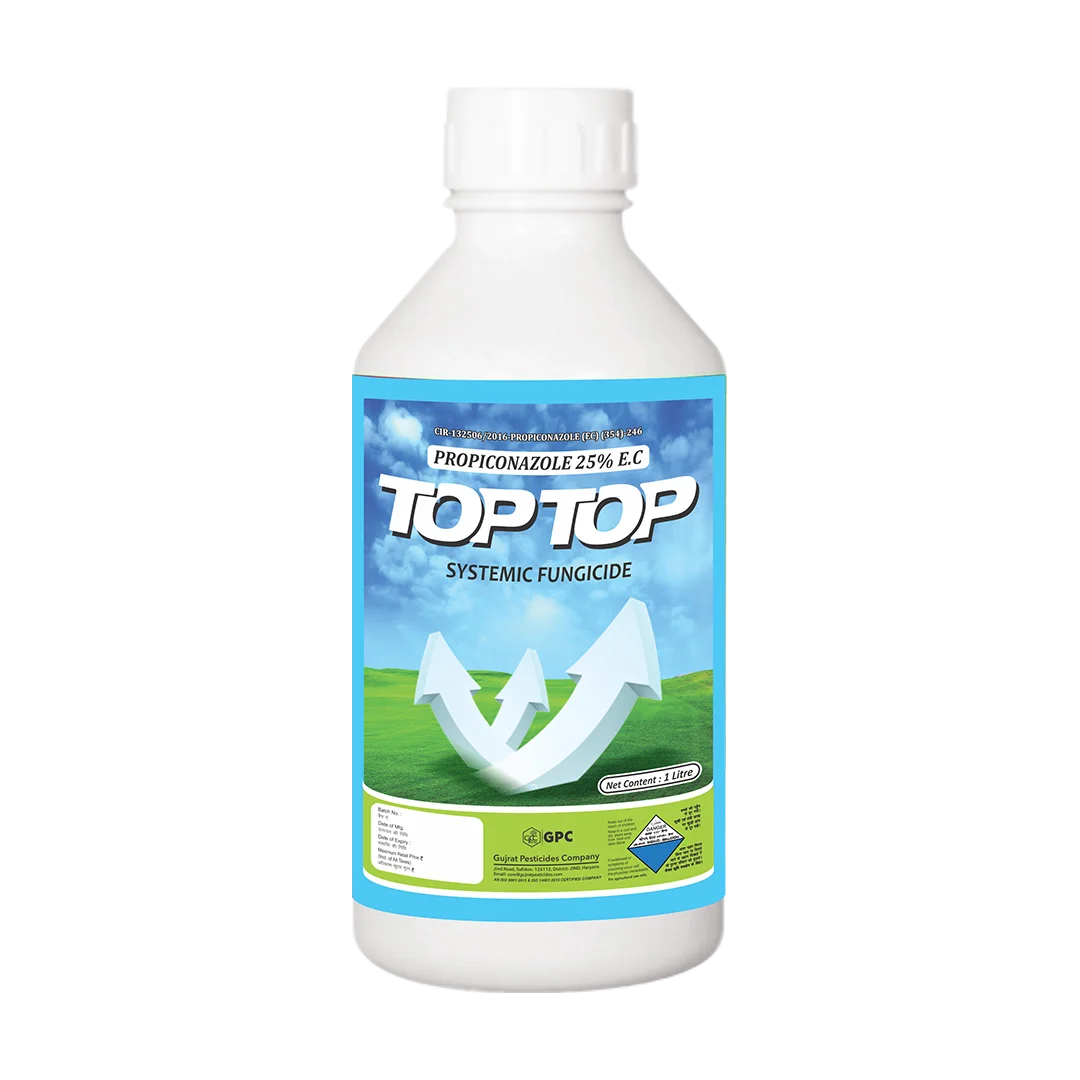 TOP-TOP
